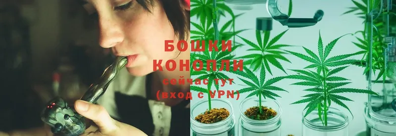 Бошки марихуана Ganja  Струнино 